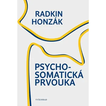 Psychosomatická prvouka - MUDr. Radkin Honzák CSc.