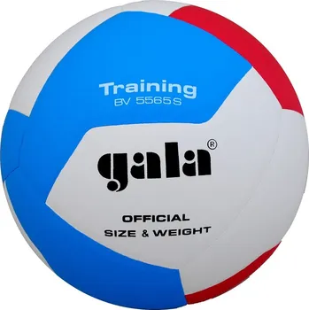 Volejbal Volejbalový míč Gala Training BV 5565 S