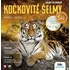 kreativní sada Albi Science exkurze do divočiny kočkovité šelmy celého světa