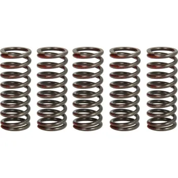 Sada spojkových pružin DUCATI 848 / Evo Corse / Streetfighter (0