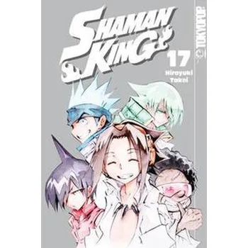 Komiks pro dospělé Shaman King 17 - Takei, Hiroyuki