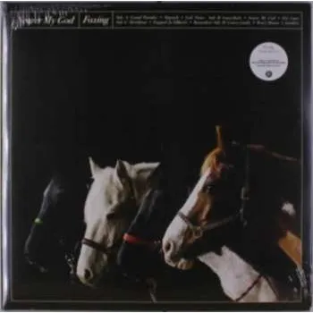 Zahraniční hudba 2LP Foxing: Nearer My God 2022 2nd Pressing Black Vinyl