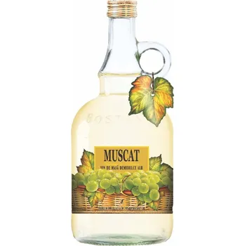 Víno SUMMER VALLEY Muscat - polosladké 1l MV-