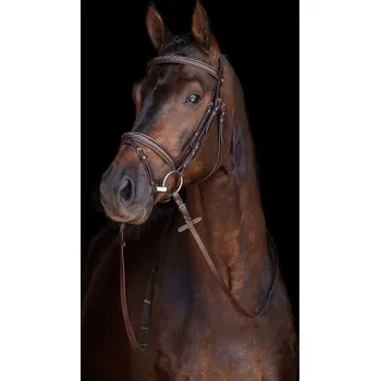 Věšák na sedlo a uzdečku HKM Uzdečka Jana HKM, hnědá EXTRA FULL