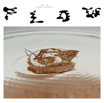 Zahraniční hudba LP David Edren: Flow | 流れ 2023