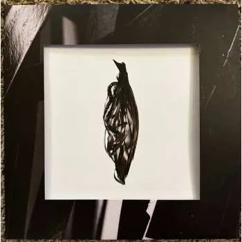 Zahraniční hudba LP Into It. Over It.: Interesting Decisions 2024 Black Vinyl