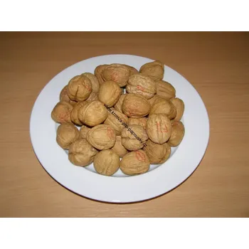 Krmivo pro ptáka DIAMOND FOODS, USA Vlašské ořechy JUMBO 32 mm 10 kg