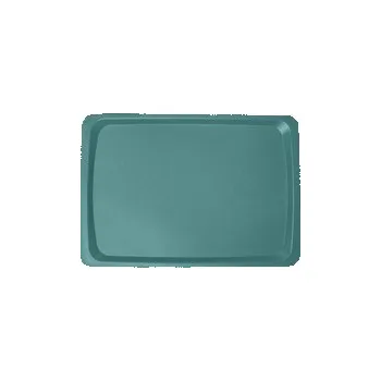 Jídelní podnos klasický, pastelová zelená, 530x370 mm