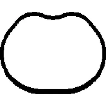 Těsnění motoru Těsnění, koleno sacího potrubí BGA MG8528