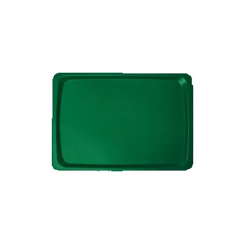 Jídelní podnos klasický, mátová zelená, 530x370 mm