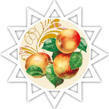 Vánoční ozdoba Vánoční ozdoba z plexiskla - Hvězda, jablíčka