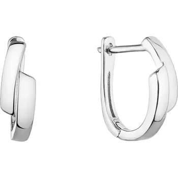 Náušnice Stříbrné náušnice kruhy 61019