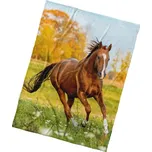 Carbotex Dětská fleecová deka 150 x 200…