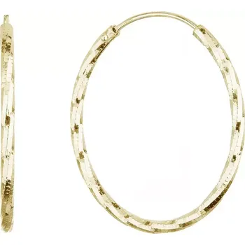 Náušnice Pozlacené stříbrné náušnice kruhy s ozdobným prolisováním 61007