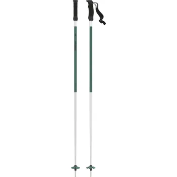 Zimní sport ATOMIC REDSTER Q Green/Silver 24/25 Délka: 125cm