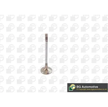 Ventil motoru Sací ventil BGA V142049