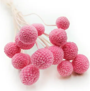 mech-mech.cz Sušená Kraspédia - (Craspedia Extra) - Růžová 15 ks