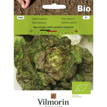 Semeno Salát máslový Meraviglia delle quattro stagioni BIO
