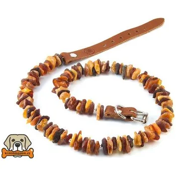 Obojek pro psa Jantarový obojek č.4 55-60 cm JO51155_K55_4