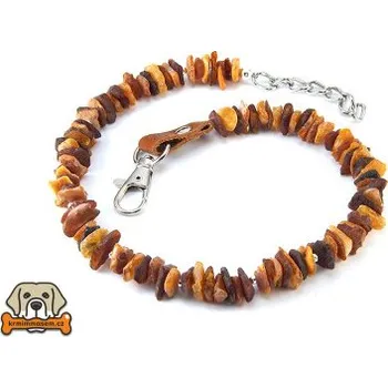 Obojek pro psa Jantarový obojek č.1 45-50 cm JO55245_R45_1