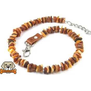 Obojek pro psa Jantarový obojek č.2 50-55 cm JO55250_R50_2