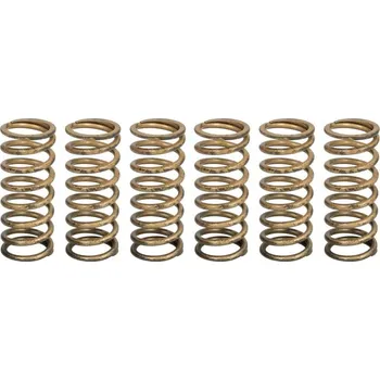 Spojkové pružiny APRILIA 1100 Tuono rok 15-20