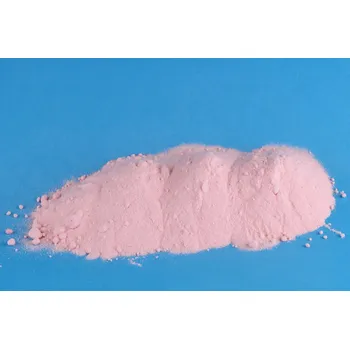 Návnadové aroma Práškové aroma - BRUSINKA 100 g