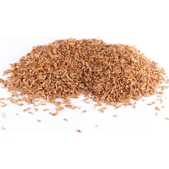 Návnadová surovina Sušený hmyz - Gammarus - Blešivec 100 g / 1 l