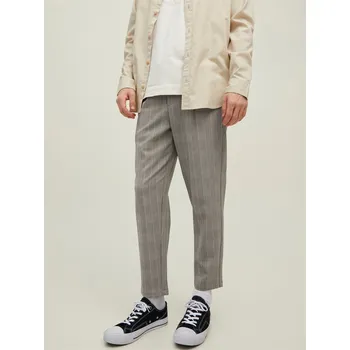 Oblečení a móda Džíny Jack and Jones Crockery 1038660 30W S