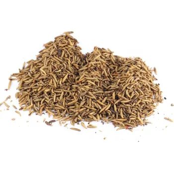 Návnadová surovina Sušený hmyz - Larva Bráněnky 1 kg