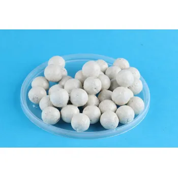 Boilies Boilies v dipu - WHITE SCOPEX - Ø 24 mm 500 g