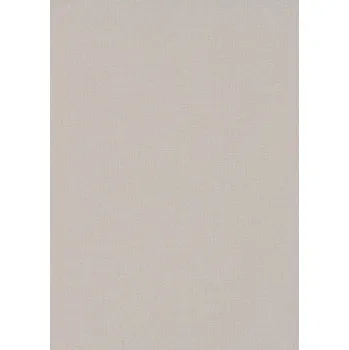 Tapeta DIMEX | Vliesová tapeta na zeď WPE-902238 | 0,53 x 10,05 m | šedá + Šedá vliesová tapeta na stěnu WPE902238 v rozměru 0,53 x 10,05 m