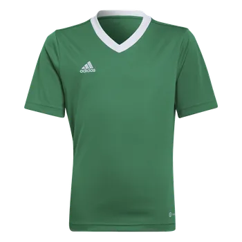 Adidas Teamsport Entrada 22 zelená/bílá UK Junior L