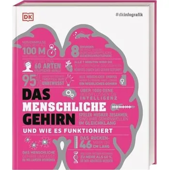 #dkinfografik. Das menschliche Gehirn und wie es funktioniert - Collin, Catherine