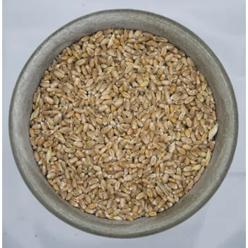 Krmivo pro koně NAVOS Pšenice 25Kg