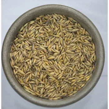 Krmivo pro koně NAVOS Oves 30Kg