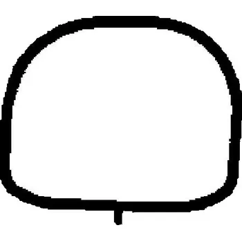 Těsnění motoru Těsnění, koleno sacího potrubí BGA MG7554