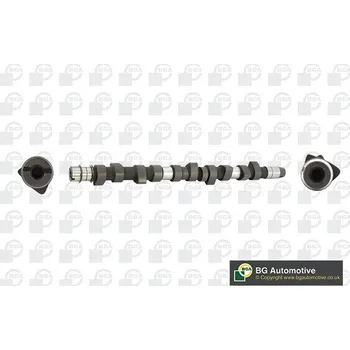 Vačková hřídel Vačkový hřídel BGA CS3381