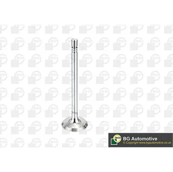 Ventil motoru Sací ventil BGA V164660