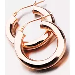 Dámské náušnice stříbro 925 masivní zlacené kruhy E1400035-1234-SLX