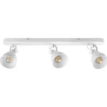 LIVARNO home Stropní LED svítidlo TEIWAZ (stropní svítidlo kolejnicové, bílá)