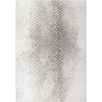 Koberec Kusový koberec Piazzo 12263 910, 80x140, šedá, chodba / předsíň, Osta - 1 rok na vrácení + DOPRAVA ZDARMA k Vám i zpět