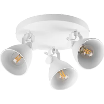 LIVARNO home Stropní LED svítidlo TEIWAZ (stropní svítidlo bodové, bílá)