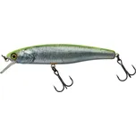 ILLEX Wobler Arnaud 10cm F RT Visible Roach