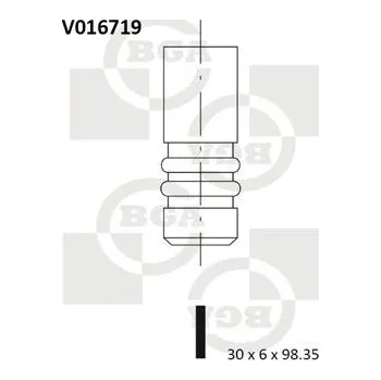 Rozvod motoru Výfukový ventil BGA V016719
