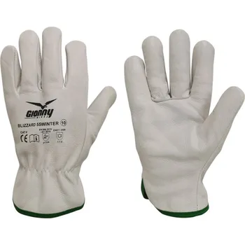Pracovní oblečení Zimní pracovní rukavice Payper BLIZZARD 55 Barva: Lední, Velikost: 9