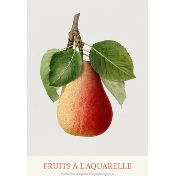 Plakát Plakát, Obraz - Pear (Watercolour Kitchen Fruit)
