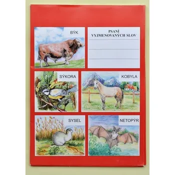 Český jazyk Psaní vyjmenovaných slov