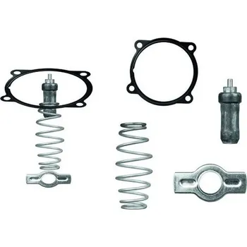 Termostat 504071087 termostat (kit)