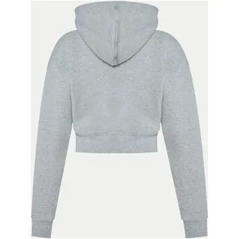 Dámská mikina Tommy Jeans Mikina DW0DW20535 Šedá Regular Fit XXS